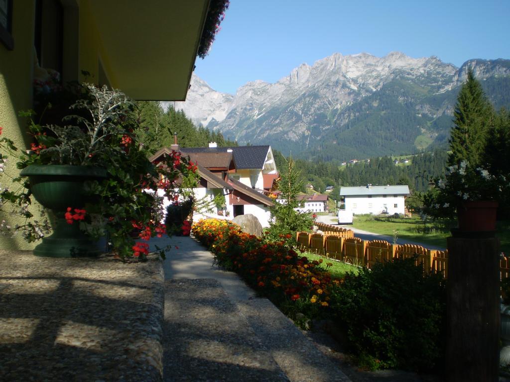 Schwarzenbacher Лунгёц Экстерьер фото